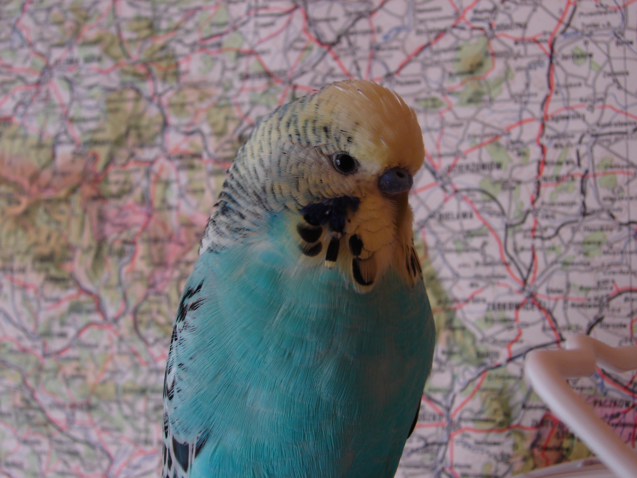DSC00014.JPG