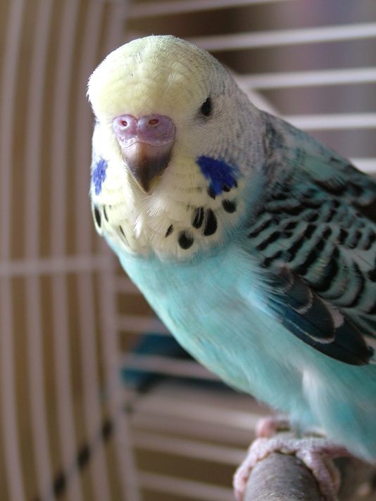 DSCF8657.JPG