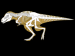 800px-Tyranosaurus_rex_1.svg.png
